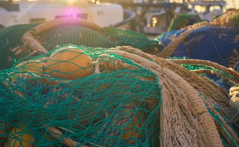 Pelagic Marine Services & Supplies Fishing Gear Supplies Graphic