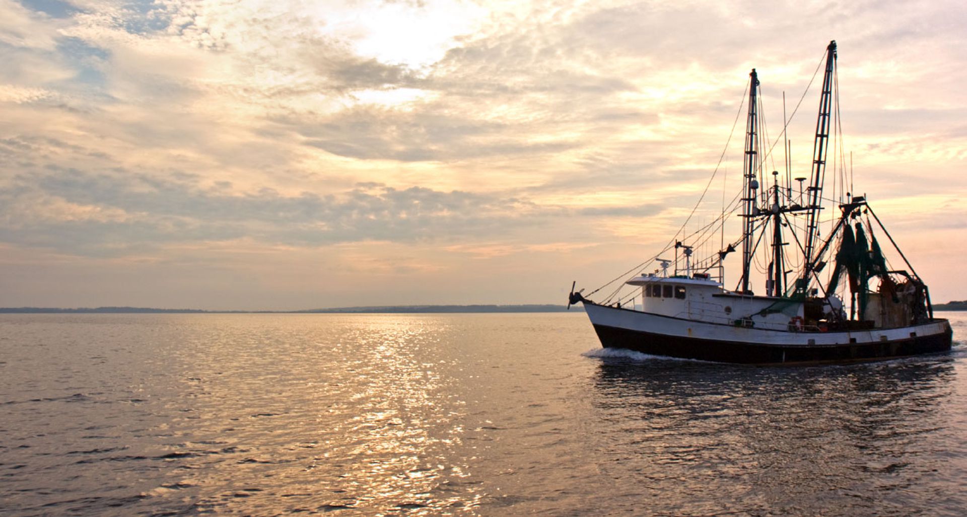 Pelagic Marine Services & Supplies Slide Four