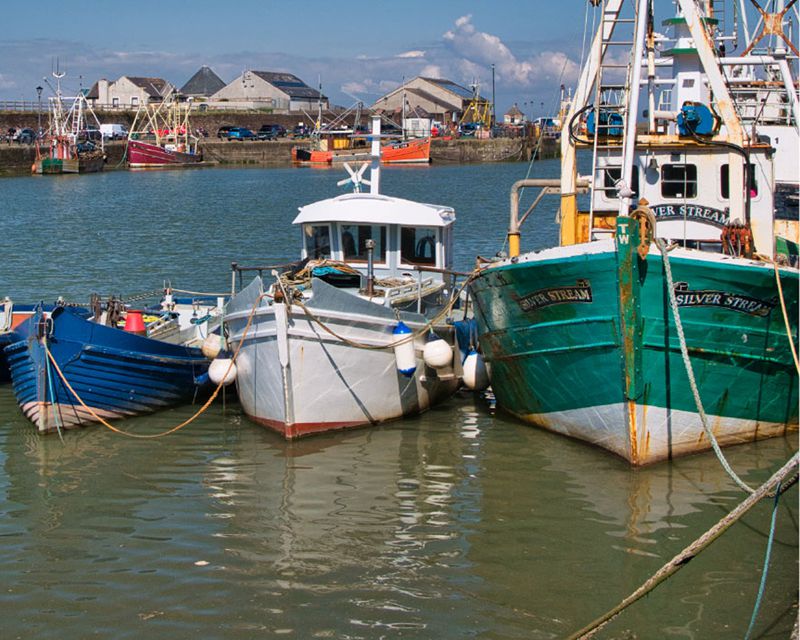 Pelagic Marine Services & Supplies Slide One