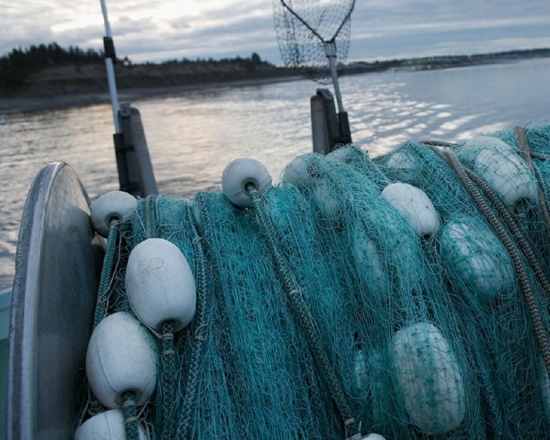 Pelagic Marine Services & Supplies Slide Two