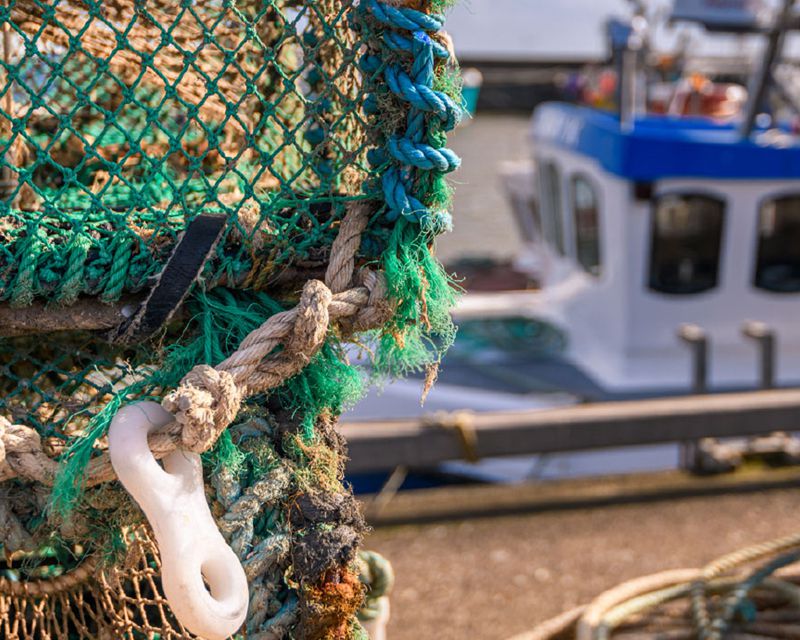 Pelagic Marine Services & Supplies Slide Three