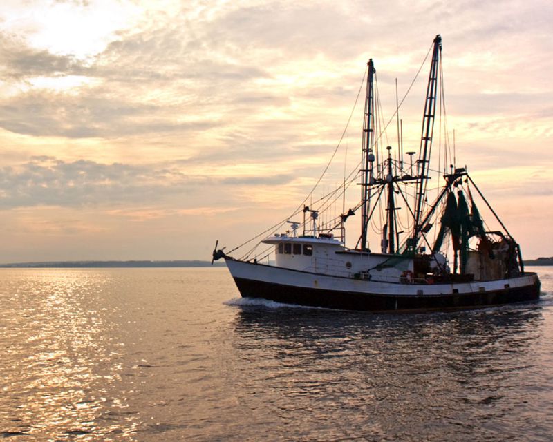 Pelagic Marine Services & Supplies Slide Four